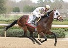 Sierra Sunset is scheduled to make his first start since winning the 2008 Rebel Stakes in the $100,000 Ack Ack Handicap.