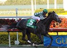 One Caroline tries to remain undefeated in the Rampart Stakes.<br><a target="blank" href="http://www.bloodhorse.com/horse-racing/photo-store?ref=http%3A%2F%2Fpictopia.com%2Fperl%2Fgal%3Fprovider_id%3D368%26ptp_photo_id%3D7785921%26ref%3Dstory">Order This Photo</a>