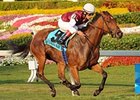 Criticism is the 121-pound high weight in the La Prevoyante Handicap.<br><a target="blank" href="http://www.bloodhorse.com/horse-racing/photo-store?ref=http%3A%2F%2Fpictopia.com%2Fperl%2Fgal%3Fprovider_id%3D368%26ptp_photo_id%3D7794246%26ref%3Dstory">Order This Photo</a>