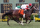 Gung Ho is the 5-2 morning line favorite for the Mystic Lake Derby.