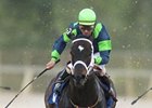Semaphore Man wins the Count Fleet Sprint Handicap in the slop under Timothy Doocy.