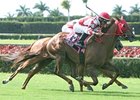Grand Cash leads a field of ten 3-year-olds in the Calder Derby.