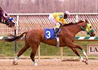 Rapid Redux takes win number 22