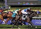 Magician
<br><a target="blank" href="http://photos.bloodhorse.com/BreedersCup/2013-Breeders-Cup/Turf/i-HvPJJrN">Order This Photo</a>