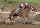 Broadway Empire cruises to victory in the Canadian Derby.