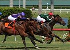 Sporting Art and Flying Dismount, shown finishing 1-2 in the Palm Beach, meet again in the Calder Derby.<br><a target="blank" href="http://www.bloodhorse.com/horse-racing/photo-store?ref=http%3A%2F%2Fpictopia.com%2Fperl%2Fgal%3Fprovider_id%3D368%26ptp_photo_id%3D4008355%26ref%3Dstory">Order This Photo</a>