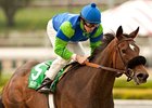 Include Me Out has won all three of her 2012 starts.