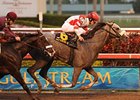 Winslow Homer won the Holy Bull on Jan. 23.<br><a target="blank" href="http://www.bloodhorse.com/horse-racing/photo-store?ref=http%3A%2F%2Fpictopia.com%2Fperl%2Fgal%3Fprovider_id%3D368%26ptp_photo_id%3D8758108%26ref%3Dstory">Order This Photo</a>