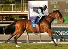 Rhythm of Light wins the Goldikova.
