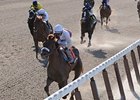 Fly Down and Game On Dude on Belmont Hunt Fly Down and Game On Dude on Belmont Hunt