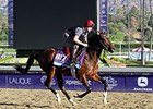 Wilshire Boulevard <br><a target="blank" href="http://photos.bloodhorse.com/BreedersCup/2013-Breeders-Cup/Breeders-Cup/32986083_QMHXWK#!i=2874006843&k=kQFKJMN">Order This Photo</a>