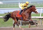 Union Rags
