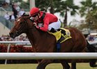 Nordic Truce, Quiet Harbor Take Gulf Stakes Nordic Truce, Quiet Harbor Take Gulf Stakes