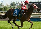 Surtsey wins the Damsel Stakes.