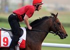 Zazou, fifth in this year's Dubai World Cup (UAE-I), will face California Memory