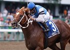 Duke of Mischief takes to the turf in the Tampa Bay Stakes.