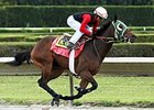 Scandalous Act works at Calder Race Course on October 25.