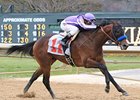 Castaway is one of two entrants in the Sunland Derby for trainer Bob Baffert.