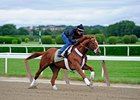 I'll Have Another
<br><a target="blank" href="http://photos.bloodhorse.com/TripleCrown/2012-Triple-Crown/Belmont-Stakes-144/23333063_3WZKbw#!i=1885636986&k=PgXQZVv">Order This Photo</a>