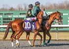 Broken Spell<br><a target="blank" href="http://photos.bloodhorse.com/AtTheRaces-1/at-the-races-2013/27257665_QgCqdh#!i=2473214544&k=BjWDcbJ">Order This Photo</a>