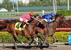Free Country will try to stamp his Ky. Derby ticket in the March 14 Louisiana Derby.