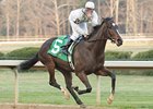 Stardom Bound, Rachel Alexandra Top KOFW Stardom Bound, Rachel Alexandra Top KOFW