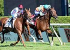 Laughing leads all the way to win the Ballston Spa Stakes.<br><a target="blank" href="http://photos.bloodhorse.com/AtTheRaces-1/at-the-races-2013/27257665_QgCqdh#!i=2721260594&k=hCt2BNZ">Order This Photo</a>