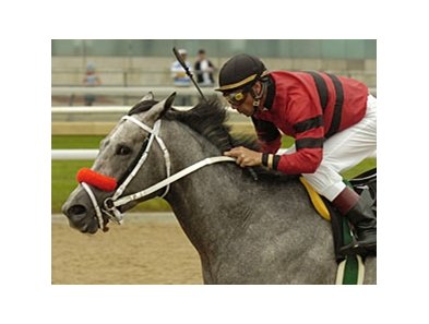 Jiggs Coz returns to action after a 10 1/2-month layoff in the Connaught Cup (Can-III) May 25.