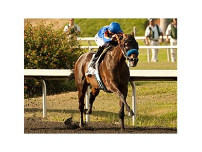 Game On Dude