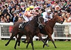 Black Caviar
<br><a target="blank" href="http://photos.bloodhorse.com/AtTheRaces-1/at-the-races-2012/22274956_jFd5jM#!i=1927094391&k=XCVNcww">Order This Photo</a>