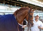 Dayatthespa
<br><a target="blank" href="http://photos.bloodhorse.com/AtTheRaces-1/at-the-races-2013/27257665_QgCqdh#!i=2495124055&k=bFCHNVV">Order This Photo</a>