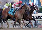 Overanalyze Wins Remsen Headbob Overanalyze Wins Remsen Headbob