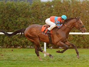 Strike a Deal Gets Elusive Victory in NY Strike a Deal Gets Elusive Victory in NY