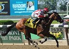 Readtheprospectus dominates the Commentator.<br><a target="blank" href="http://photos.bloodhorse.com/AtTheRaces-1/at-the-races-2013/27257665_QgCqdh#!i=2548245801&k=rP6DVQ6">Order This Photo</a>