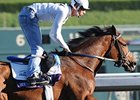 Full Field in Juvenile Fillies Turf Full Field in Juvenile Fillies Turf