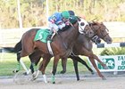 Schoolyard Dreams (#5, left) came up a little short in the Tampa Bay Derby.