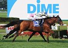 Elusive Bluff, Maram Win Graded Stakes Elusive Bluff, Maram Win Graded Stakes