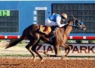 Jockey Alejandro Medellin wins his seventh race at Zia Park on Monday, Nov. 5 about the 2yo gelding Certification.