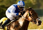 J P's Gusto is the one to beat in the Southwest Stakes.<br><a target="blank" href="http://www.bloodhorse.com/horse-racing/photo-store?ref=http%3A%2F%2Fpictopia.com%2Fperl%2Fgal%3Fprovider_id%3D368%26ptp_photo_id%3D9176160%26ref%3Dstory">Order This Photo</a>