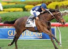 Mystic Love rolls home to win the Dania Beach.<br><a target="blank" href="http://photos.bloodhorse.com/AtTheRaces-1/at-the-races-2012/22274956_jFd5jM#!i=2274320437&k=BJZLk92">Order This Photo</a>