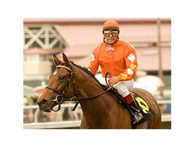 Evening Jewel tries the Santa Anita downhill turf course in the Monrovia.<br><a target="blank" href="http://www.bloodhorse.com/horse-racing/photo-store?ref=http%3A%2F%2Fpictopia.com%2Fperl%2Fgal%3Fprovider_id%3D368%26ptp_photo_id%3D9119555%26ref%3Dstory">Order This Photo</a>