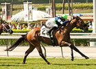 First Graded Stakes Up for Grabs in Senorita First Graded Stakes Up for Grabs in Senorita