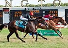 Rahystrada holds off Boisterous to win the Arlington Handicap.