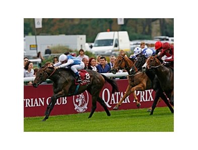 Goldikova leads the way in the Qatar Prix de la Foret.
<br><a target="blank" href="http://www.bloodhorse.com/horse-racing/photo-store?ref=http%3A%2F%2Fpictopia.com%2Fperl%2Fgal%3Fprovider_id%3D368%26ptp_photo_id%3D9217851%26ref%3Dstory">Order This Photo</a>