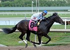 Upstart
<br><a target="blank" href="http://photos.bloodhorse.com/AtTheRaces-1/At-the-Races-2015/i-BfxNcgr">Order This Photo</a>