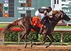 Giant Gizmo wins the Lone Star Handicap (gr. III), the feature race on Lone Star Million Day May 26.