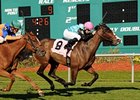 Denomination the One to Beat in Violet Stakes Denomination the One to Beat in Violet Stakes