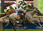 Musketier won the Singspiel Stakes at Woodbine on June 24.