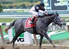 The Lumber Guy faces 7 in the San Carlos Stakes.<br><a target="blank" href="http://photos.bloodhorse.com/AtTheRaces-1/at-the-races-2012/22274956_jFd5jM#!i=2124731258&k=FRLr8G9">Order This Photo</a>