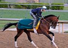 Big Truck is "Running for Re-Run" in the Kentucky Derby.